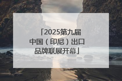 2025第九届中国（印尼）出口品牌联展开幕