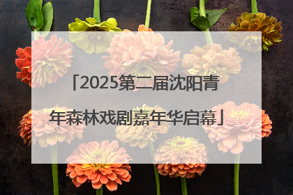2025第二届沈阳青年森林戏剧嘉年华启幕