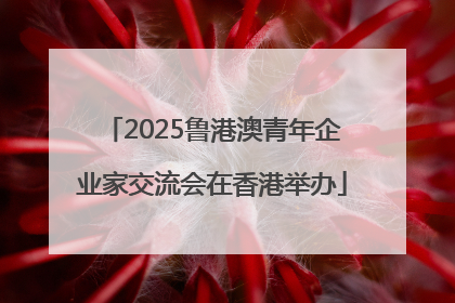 2025鲁港澳青年企业家交流会在香港举办