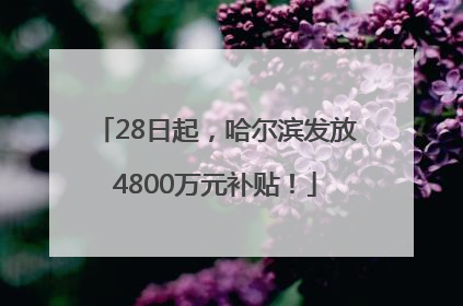 28日起，哈尔滨发放4800万元补贴！