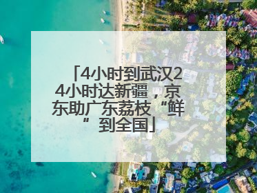 4小时到武汉24小时达新疆，京东助广东荔枝“鲜”到全国