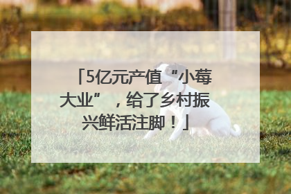 5亿元产值“小莓大业”，给了乡村振兴鲜活注脚！