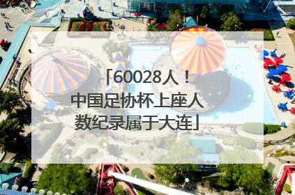 60028人！中国足协杯上座人数纪录属于大连