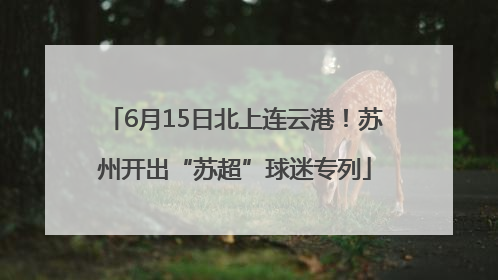 6月15日北上连云港！苏州开出“苏超”球迷专列
