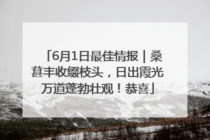 6月1日最佳情报｜桑葚丰收缀枝头，日出霞光万道蓬勃壮观！恭喜