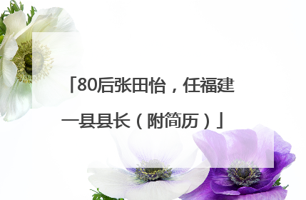 80后张田怡，任福建一县县长（附简历）
