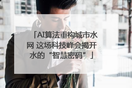 AI算法重构城市水网 这场科技峰会揭开水的“智慧密码”