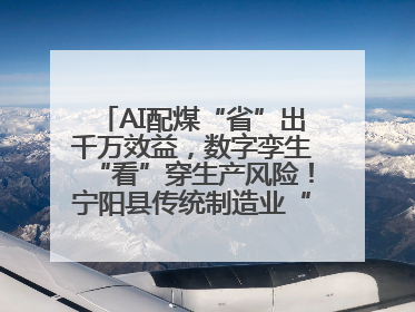 AI配煤“省”出千万效益，数字孪生“看”穿生产风险！宁阳县传统制造业“智”变突围