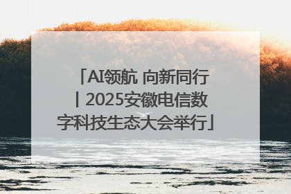 AI领航 向新同行丨2025安徽电信数字科技生态大会举行