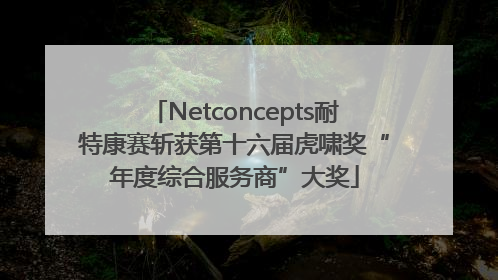 Netconcepts耐特康赛斩获第十六届虎啸奖“年度综合服务商”大奖