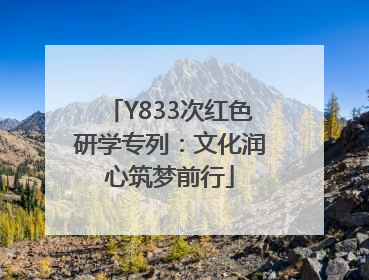Y833次红色研学专列：文化润心筑梦前行